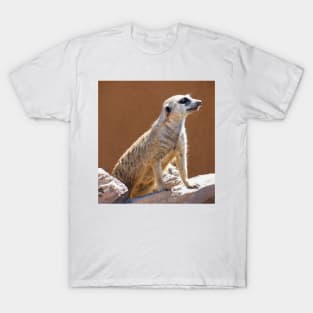 Meerkat posing in the Sun T-Shirt